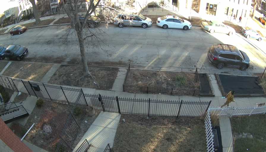 Reolink Camera Two_01_Reolink Home Hub One_20260218155506.jpg